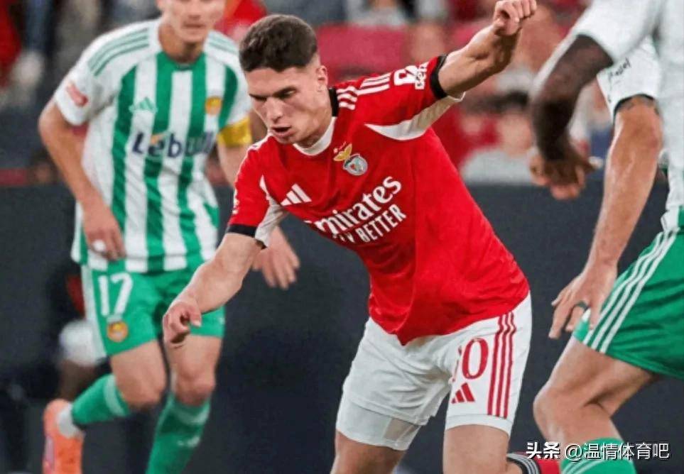 段德迪奇禁 段德迪奇禁