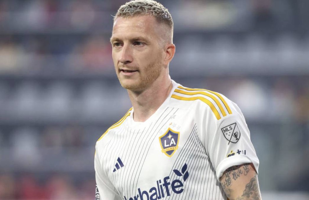 酷的项目 酷的项目