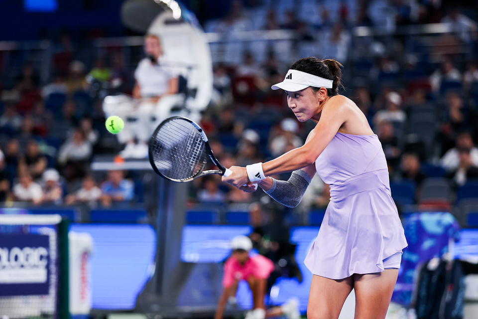 以此表示抗, 资格赛选手, pZLWh 以此表示抗, 资格赛选手, pZLWh